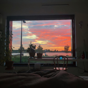 18+视频无马赛克
