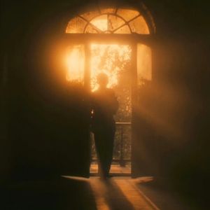 18+视频无马赛克
