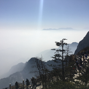 18+视频无马赛克
