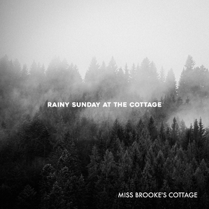 18+视频无马赛克
