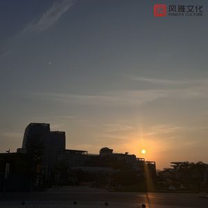 18+视频无马赛克
